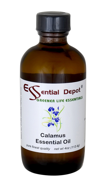 Calamus Essential Oil - 4 oz.