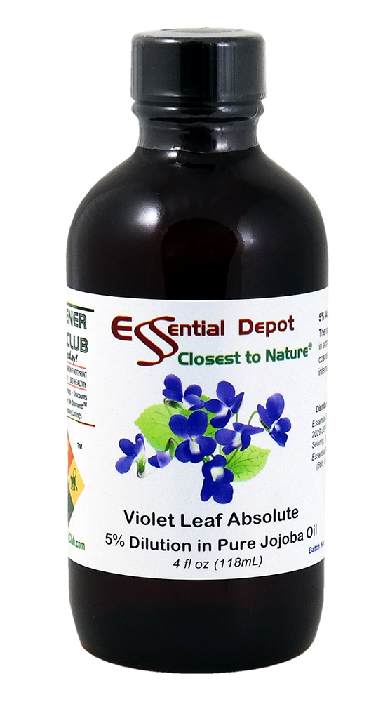Violet Leaf Essential Oil 5 Dilution in Pure Jojoba 4 fl oz