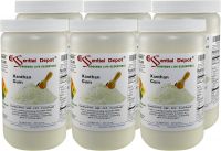 Xanthan Gum - 6 @ 20 oz per container - E415 - USP - FCC - Food Grade - Fine Powder