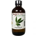 Bay Essential Oil - 4 oz.