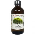 Camphor  Essential Oil - 4 oz.