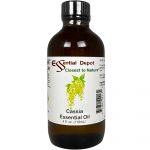 Cassia Essential Oil - 4 oz.