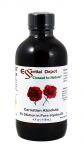 Carnation Absolute 5% Dilution in Pure Jojoba - 4 fl oz