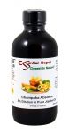 Champaka Absolute 5% Dilution in Pure Jojoba - 4 fl oz