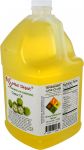 Apricot Kernel Oil - 1 Gallon - Food Grade - safety sealed HDPE container  with resealable cap